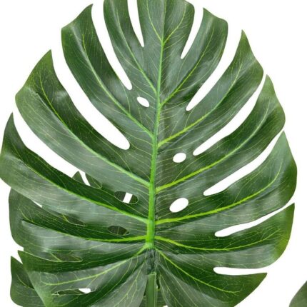 productHero-SPOTWF-BP80682116-green-2
