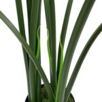 productHero-SPOTWF-BP80682116-green-4