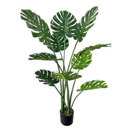 productHero-SPOTWF-BP80682116-green