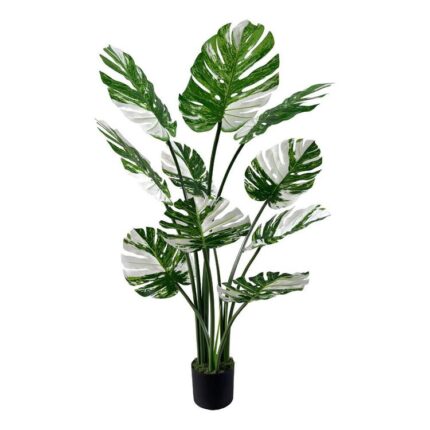 productHero-SPOTWF-BP80682116-white