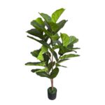 productHero-SPOTWF-BP80682118-green