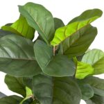 productHero-SPOTWF-BP80682118-green-2