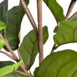 productHero-SPOTWF-BP80682118-green-3