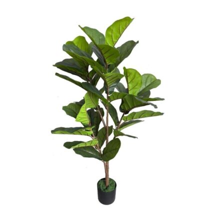 productHero-SPOTWF-BP80682118-green
