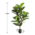 productHero-SPOTWF-BP80682118-green-5