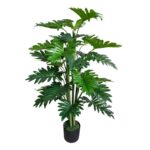 productHero-SPOTWF-BP80682119-green