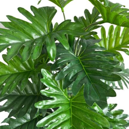 productHero-SPOTWF-BP80682119-green-2