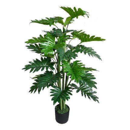 productHero-SPOTWF-BP80682119-green