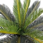 productHero-SPOTWF-BP80682120-green-2