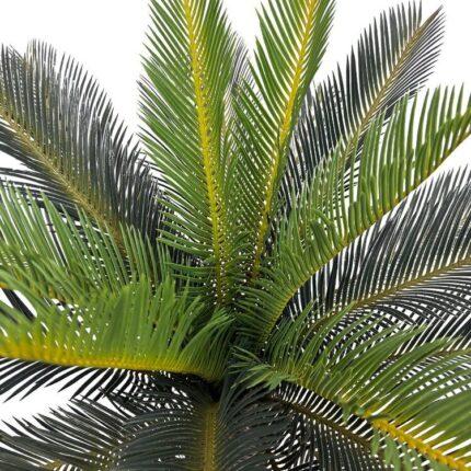 productHero-SPOTWF-BP80682120-green-2