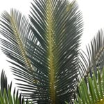 productHero-SPOTWF-BP80682120-green-3