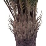 productHero-SPOTWF-BP80682120-green-4