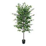 productHero-SPOTWF-BP80682121-green