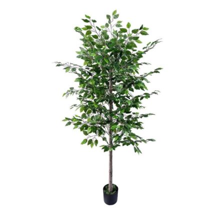 productHero-SPOTWF-BP80682121-green