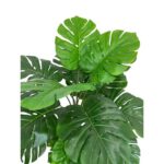 productHero-SPOTWF-BP80682123-green-2
