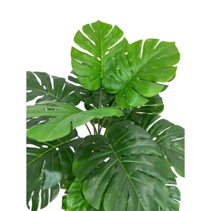 productHero-SPOTWF-BP80682123-green-2