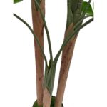 productHero-SPOTWF-BP80682123-green-4