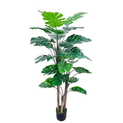 productHero-SPOTWF-BP80682123-green