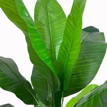 productHero-SPOTWF-BP80682124-green-2