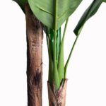 productHero-SPOTWF-BP80682124-green-4
