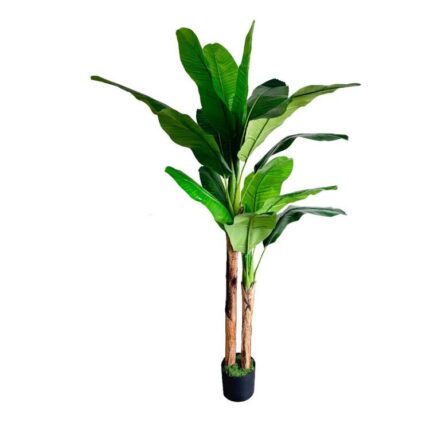 productHero-SPOTWF-BP80682124-green