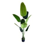 productHero-SPOTWF-BP80682125-green