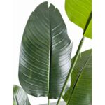 productHero-SPOTWF-BP80682125-green-2