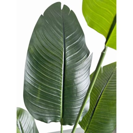 productHero-SPOTWF-BP80682125-green-2