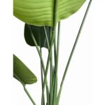 productHero-SPOTWF-BP80682125-green-3
