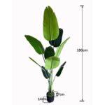 productHero-SPOTWF-BP80682125-green-5