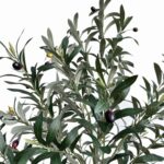 productHero-SPOTWF-BP80682126-green-2
