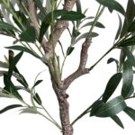 productHero-SPOTWF-BP80682126-green-3