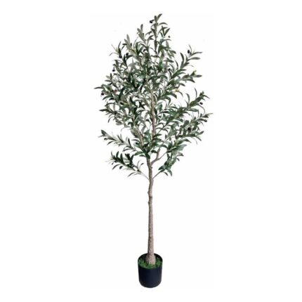 productHero-SPOTWF-BP80682126-green