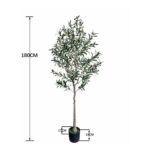 productHero-SPOTWF-BP80682126-green-5