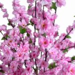 productHero-SPOTWF-BP80682127-pink-2