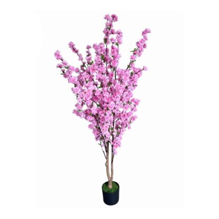 productHero-SPOTWF-BP80682127-pink