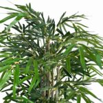 productHero-SPOTWF-BP80682129-green-2