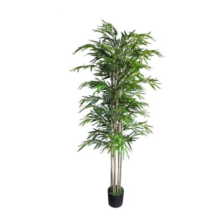 productHero-SPOTWF-BP80682129-green