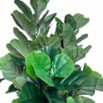 productHero-SPOTWF-BP80682130-green-2