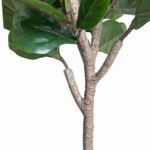 productHero-SPOTWF-BP80682130-green-3