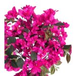 productHero-SPOTWF-BP80682493-red-2
