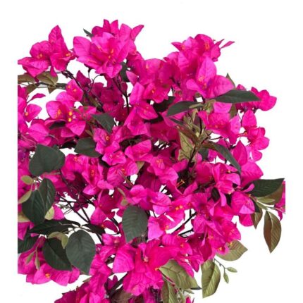productHero-SPOTWF-BP80682493-red-2