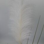 productHero-SPOTWF-BP80682727-white-6