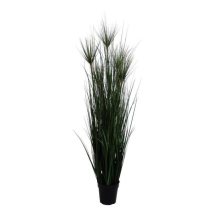 productHero-SPOTWF-BP80682729-green