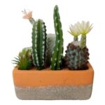 productHero-SPOTWF-BP80682753-green