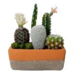 productHero-SPOTWF-BP80682753-green-3