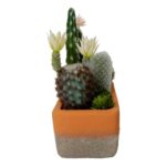 productHero-SPOTWF-BP80682753-green-5