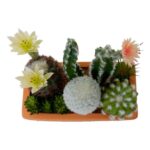 productHero-SPOTWF-BP80682753-green-7