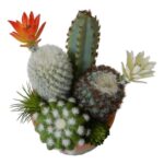 productHero-SPOTWF-BP80682754-green-10