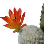 productHero-SPOTWF-BP80682754-green-3